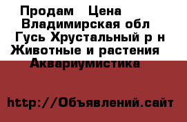 Продам › Цена ­ 250 - Владимирская обл., Гусь-Хрустальный р-н Животные и растения » Аквариумистика   